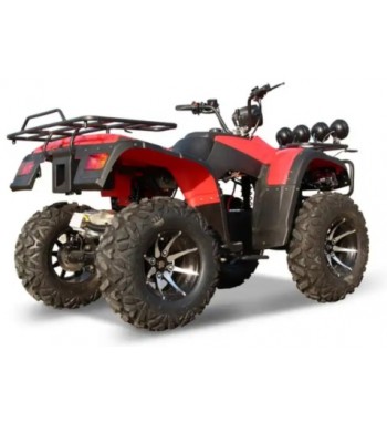 Challenger E - ATV 3000 W