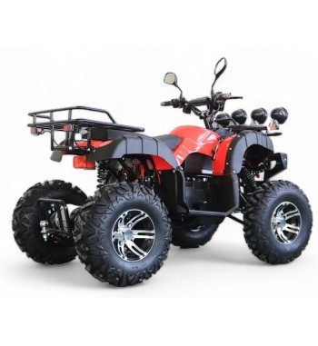 Army E - ATV 4000 W