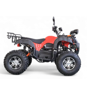 Army E - ATV 4000 W