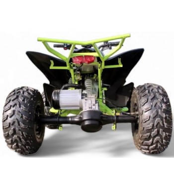 Raptor E - Quad 3000 W