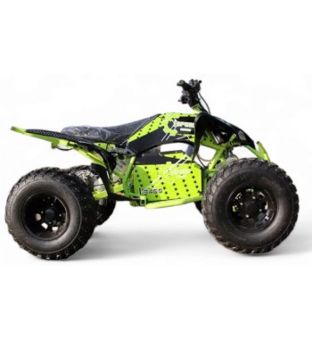 Raptor E - Quad 3000 W