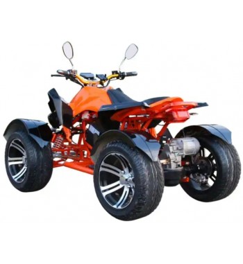 Speedy E - Quad 4000 W