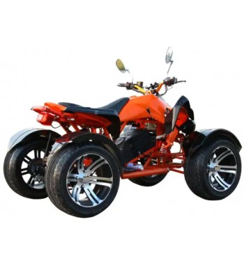 Speedy E - Quad 4000 W