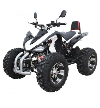 Thunder E - Quad