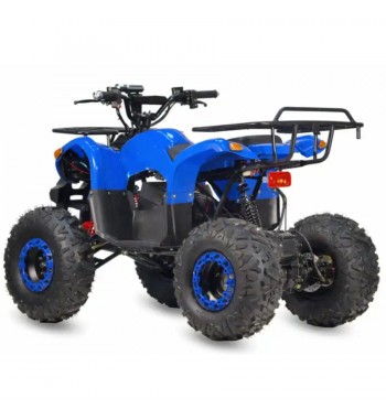 Little Monster E - Quad