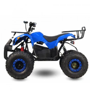 Little Monster E - Quad