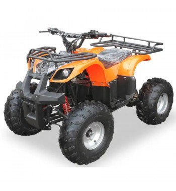 Little Monster E - Quad