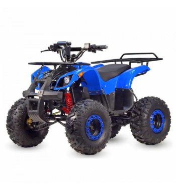 Little Monster E - Quad