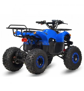 Little Monster E - Quad