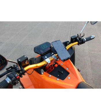 Speedy E - Quad 4000 W