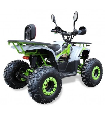 Apollón E - Quad 1000 W