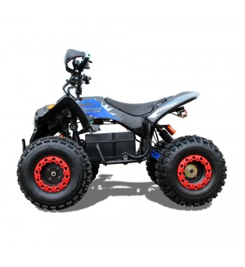 Predátor E - Quad 1000 W