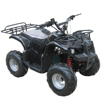 Mars E - Quad 800 W
