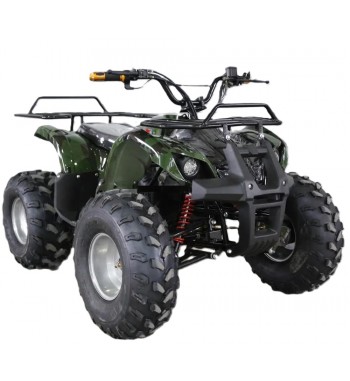 Mars E - Quad 800 W