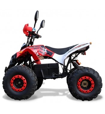 Predátor E - Quad 1000 W